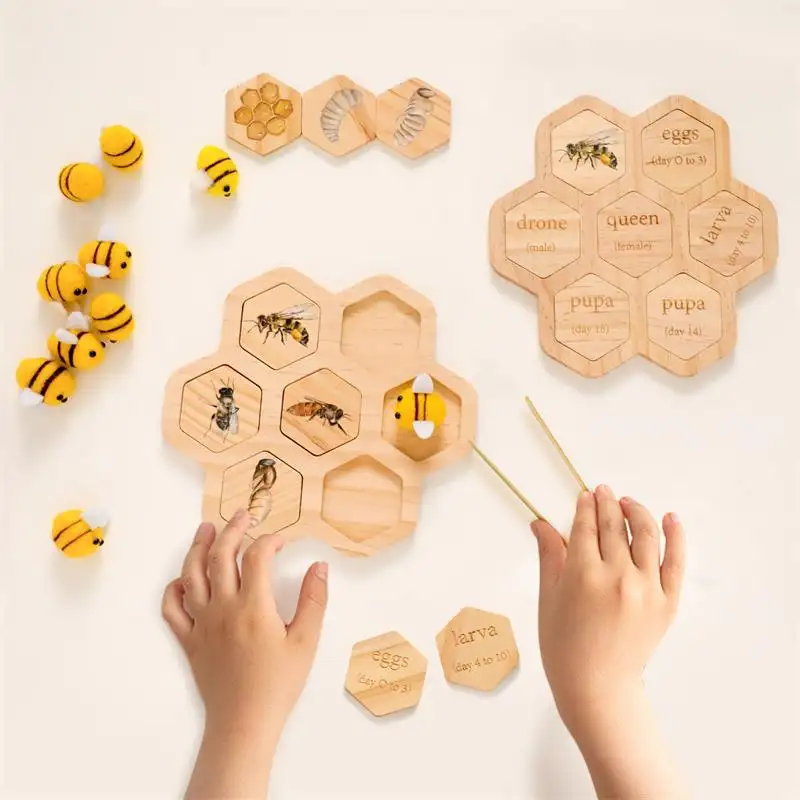 Waldorf Montessori Sortier spielzeug Honigbiene Lernset Waben Holz puzzles Montessori Klassen zimmer Materialien Biene Lebenszyklus