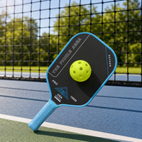 Rekreasyonel Maç Pickleball Raketi Karbon Fiber Özel Logo Mevcut Kulüp Antrenmanı ve Açık Hava Bahçe Oyunları İçin