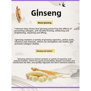 食品级人参皂苷80%人参提取物精华花草茶新鲜有机特级免煮袋装盒装 - Product Image 3