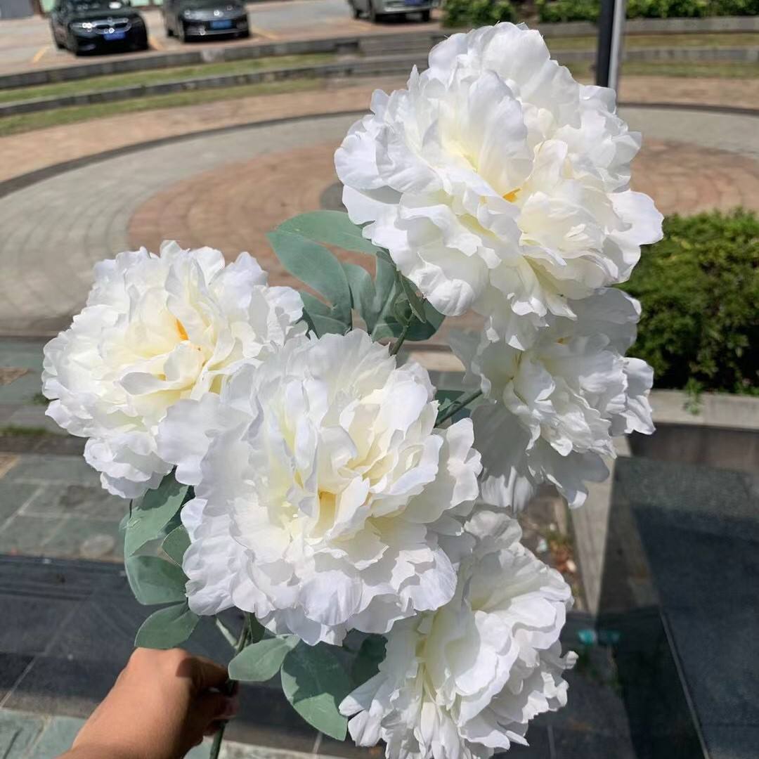 103#5 head hibiscus peony white