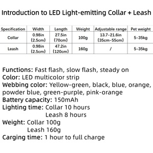 Negozio di animali gatto cane accessori USB ricaricabile lusso luce LED guinzaglio collare set per cane con luce - Product Image 6