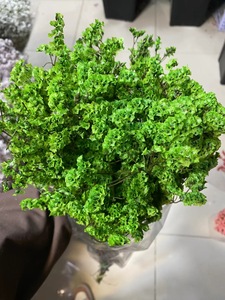 <span class=keywords><strong>Flores</strong></span> preservadas <span class=keywords><strong>con</strong></span> tallos, venta al por mayor, <span class=keywords><strong>flores</strong></span> secas, hierba de cristal eterna, Limonium, <span class=keywords><strong>flores</strong></span> secas para decoración de eventos de boda - Product Image 5