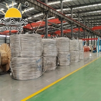 Cable de Alimentación Industrial y para Estaciones de Energía, 4 Núcleos de 240 mm + 1 Núcleo de 120 mm, ZC-YJV, Núcleo de Cobre, Aislamiento XLPE, 0.6kV