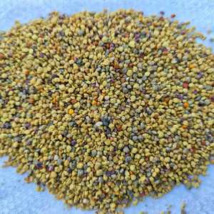 Polen de Abeja Mixto en Botellas Selladas de 250G/500G - Grado Alimenticio, Suministro al por Mayor para Reventa Minorista, Polen de Abeja Fresco - Product Image 5