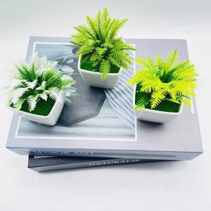 Mini plantes artificielles en pot, succulentes artificielles colorées dans des pots blancs pour la décoration moderne de la maison, du bureau, de la table, des étagères, petits bonsaïs - Product Image 2
