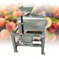 Automatische sinaasappelsapmachine Fruitpulper Perzik Gember Extractie Extractor Passievruchtensapcentrifuge 380V 1500W Hoge productiviteit