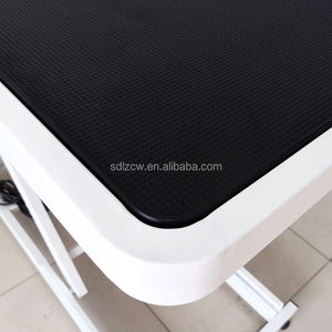 <span class=keywords><strong>Mesa</strong></span> de Peluquería Eléctrica para Mascotas LIZE PET, <span class=keywords><strong>Mesa</strong></span> de Peluquería <span class=keywords><strong>Canina</strong></span> con Elevación Eléctrica, <span class=keywords><strong>Mesa</strong></span> de Peluquería Veterinaria - Product Image 5