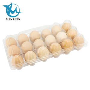 custom various size disposable plastic egg crate tray egg box quail egg tray