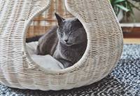 Idéal pour vos animaux de compagnie, maison de luxe pour chat, rotin naturel, grotte pour chat, panier tissé pour chat, lits, accessoires de décoration intérieure