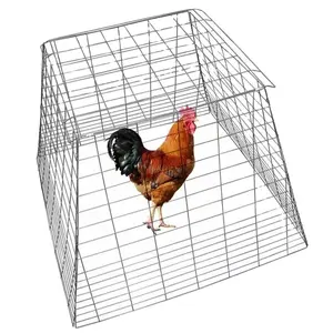 Cage à poulet pliable en treillis métallique Cage à coq de combat pour la chasse au gibier