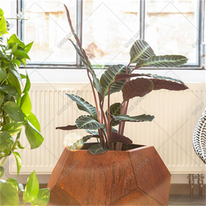 Jardinière extérieure Pentagone Matériau en acier résistant aux intempéries Vente en gros pour jardin Villa Parc Hôtel Décoration de jardinage - Product Image 2