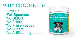 Hữu cơ nấm hỗn hợp bột thảo dược bổ sung bổ sung cho vật nuôi miễn dịch hỗ trợ nấm phức tạp mỗi vật nuôi cần 2 năm 200 - Product Image 6