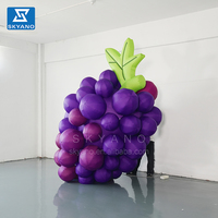 Raisins publicitaires gonflables annonçant la décoration commerciale de modèle gonflable de fruit