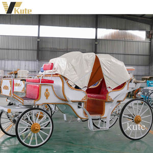 Carroza Eléctrica Elegante para Turismo en Venta - Product Image 5