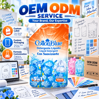 OEM 500ml, fabrication, vente directe, liquide de lavage à la mousse riche de haute qualité, détergent à lessive solide pour élimination des taches, liquide dans un sac