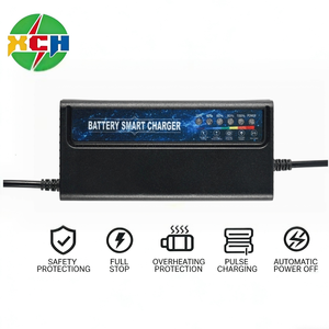 Caricabatterie per Batterie al Piombo-Acido 48V12Ah con Protezione da Cortocircuito Ingresso 160-300V - Product Image 1