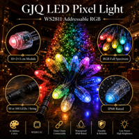 Vente en gros d'usine, bande lumineuse de Noël à pixels adressables DC 5V 12V, étanche IP68, 12 mm, module LED WS2811, points lumineux à pixels