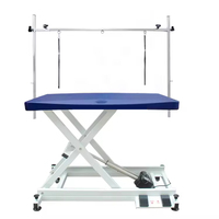 Table de toilettage professionnelle pour chiens et animaux de compagnie, nouvelle conception, en acier inoxydable et caoutchouc, électrique, élévatrice