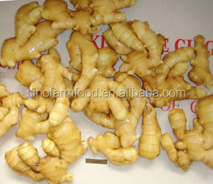 中国新鲜生姜供应商提供优质新作物生姜和风干生姜 - Product Image 3