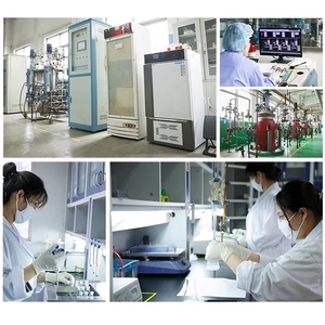 Phụ Gia Thực Phẩm Enzyme Invertase Bột Invertase Saccharase Nhà Cung Cấp Từ Thương Hiệu Sunson - Product Image 5