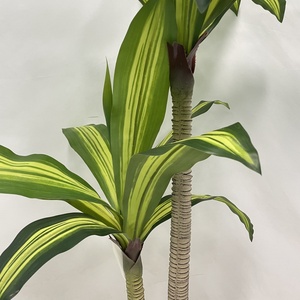 Material de seda espacial de hierro brasileño 120cm bonsái verde Artificial árbol sintético planta de imitación para decoración de hogar u oficina - Product Image 4