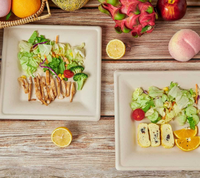SINCERE Factory Wholesale Modern Disposable Eco Sugarcane Bagasse Square Plates Trays 8 Inch Shandong for Party