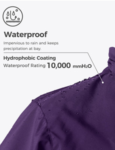 Nouvel arrivage <span class=keywords><strong>de</strong></span> veste <span class=keywords><strong>de</strong></span> <span class=keywords><strong>ski</strong></span> imperméable pour femmes, vente en gros <span class=keywords><strong>de</strong></span> <span class=keywords><strong>manteau</strong></span> d'hiver coupe-vent, doudoune, vêtements <span class=keywords><strong>de</strong></span> sport pour la neige - Product Image 5