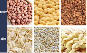 Peladora Comercial de Tipo Húmedo para Eliminar la Piel Roja de Cacahuetes, Nueces, Soja y Almendras, con Precio de Fábrica - Product Image 6