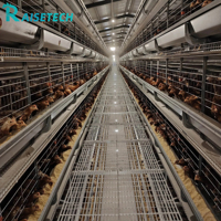 Cage à poulets en batterie entièrement automatique, haute capacité, structure durable, cage à poules pondeuses de type H, équipement d'élevage avicole