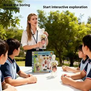 Ensemble de jouets anatomiques pour femmes enceintes, modèle d'organes du <span class=keywords><strong>corps</strong></span> <span class=keywords><strong>humain</strong></span>, <span class=keywords><strong>squelette</strong></span>, aides pédagogiques médicales, jouets éducatifs pour enfants - Product Image 3