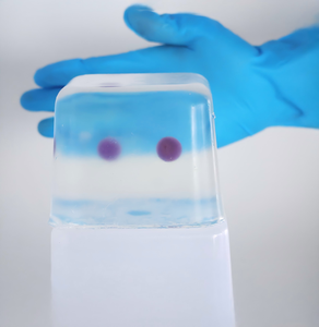 Fantom de entrenamiento de hidrogel de modo dual sensible a la temperatura y con cambio de color para simulación médica de punción y ablación - Product Image 2