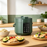 Mini-cuiseur à pression électrique 1,6 L compact multifonction pour la maison