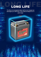 Baterai Lithium Motor Yauneidak High Performance LFP5L-BS 12.8V 4Ah CCA220, Sel Pouch Berdaya Tinggi, 3000 Siklus, Pengosongan 20C