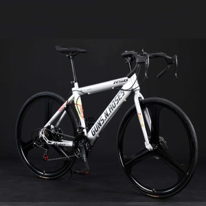 OEM bicicleta de carretera profesional 700C bicicleta con freno de disco R10 RS 21 velocidad horquilla de acero venta a precio barato - Product Image 2
