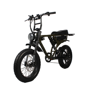 48V TO-LANDS 250W/500W/750W/1000W Neumático gordo Bicicleta Eléctrica Mountain City Dirt <span class=keywords><strong>Cruiser</strong></span> Carga Eléctrica <span class=keywords><strong>EBike</strong></span> - Product Image 6