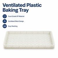 Plateau de congélation IQF en plastique HDPE de qualité alimentaire certifié CE RoHS, empilable, perforé, écologique, pour fruits de mer, viande, fruits et produits surgelés