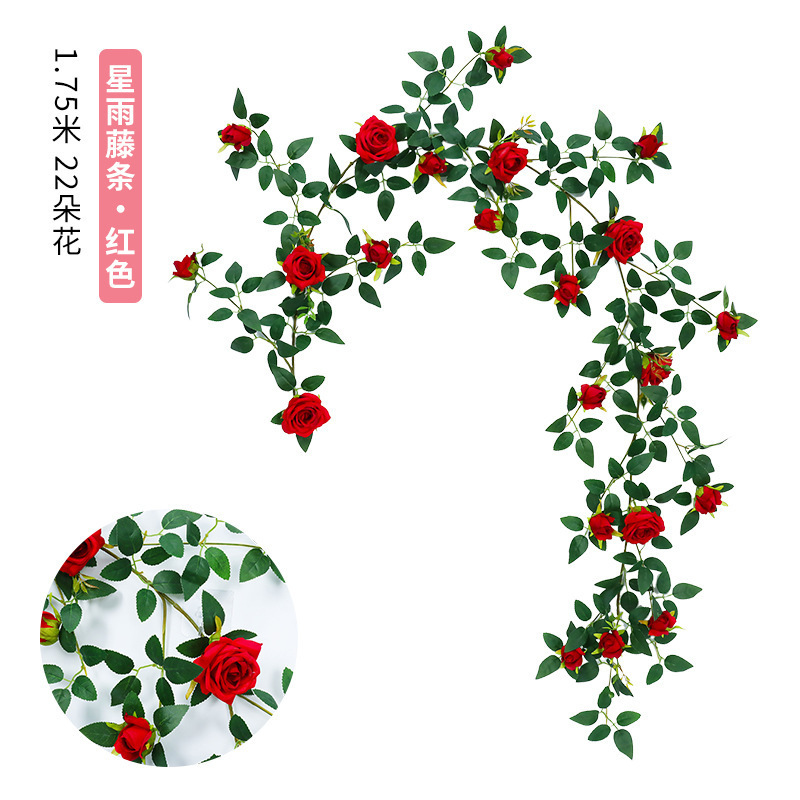 Vignes de roses de bon augure [Rouge]