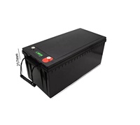 Kustom 12.8Volt 200Ah Lithium Ion Solar penyimpanan baterai Pak asam timbal pengganti LiFePO4 pilihan disesuaikan tersedia