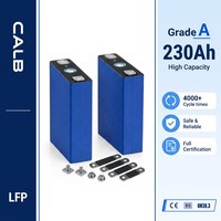 Cellule de batterie LiFePO4 CALB 230Ah 3.2V Grade A 4000cls pour mise à niveau, rétrofit, extension de autonomie et remplacement de batteries de véhicules électriques