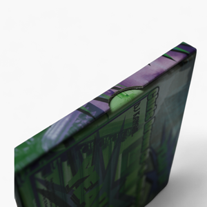 Custom R&B Mix DVD Hardcover Box, Dual-Disc DJ Mix Case with Graffiti-Style Print - Product Image 6