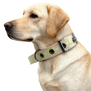 Kerah Anjing Kucing dengan Gesper Pin, 4 Warna, Lapisan Bernapas Model Sarang Lebah, Dekorasi Bordir Huruf, Tahan Lama & Bergaya - Product Image 2