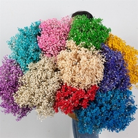 Bouquet de Gypsophile LUIY - Fleurs séchées de Gypsophile blanches pour mariage ou décoration intérieure