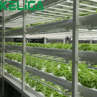 Étagère de culture verticale pour serre hydroponique intérieure