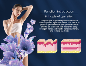 Máquina Multifuncional 2 en 1 para Eliminación de Tatuajes y Pigmentación con Peeling de Carbón 2026 - Product Image 4