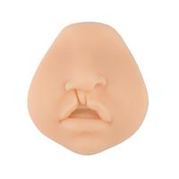 Modèle d'enseignement médical Modèle de lèvre à fente mixte bilatérale en PVC pour la formation de suture chirurgicale Taille de la marque YUYUE 9*8.3*3.5cm