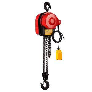 2 Ton rantai listrik <span class=keywords><strong>Hoist</strong></span> Crane dengan Remote Control 220v tegangan M5 tugas perlindungan Overload untuk pabrik industri - Product Image 2