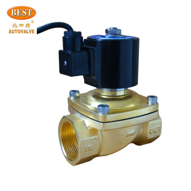 Z101 cuộn dây 220V AC 12V 24V DC nước 2 cách 3/8 1/4 NC Brass inch Điều khiển cơ hoành thép không gỉ solenoid valve