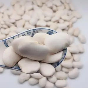 The Factory Sells Large White Kidney Beans Directly And Exports Them Wholesale In Large Quantities