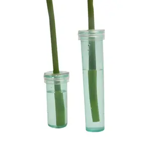 Frische Blumen-Konservierungsrohr Nahrungsrohr Blumenlädenstrauß frische Blumenverpackung Wasserrohre einfach und bequem Großhandel