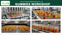 Gummies à la biotine pour les cheveux, la peau et les ongles, soin beauté, antioxydant, soutien du métabolisme, collagène, kératine, vitamine C, gummies à la biotine